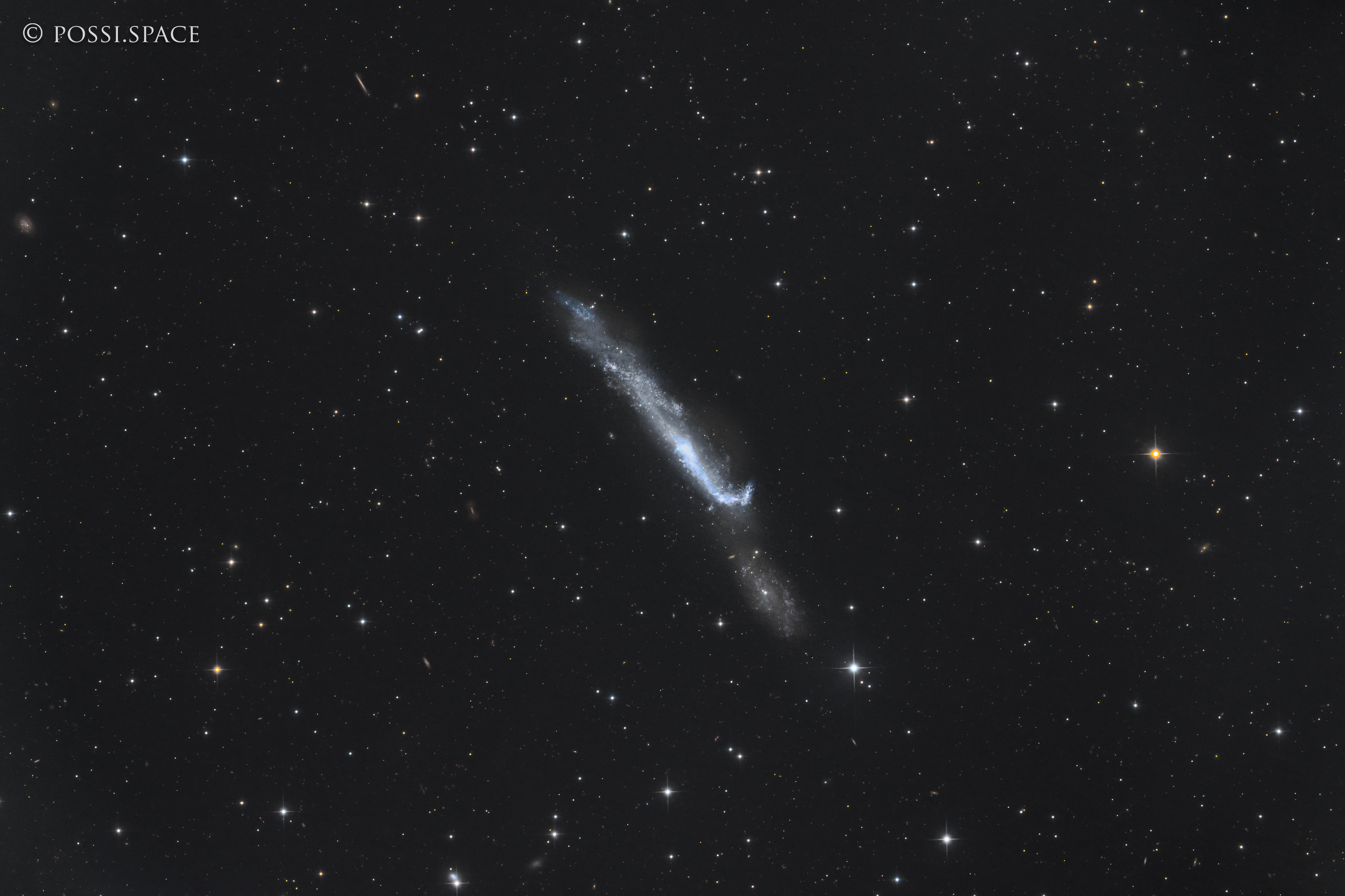 240403_ngc4656_hockey_stick_galaxy_-_cdk17_reduced_hlrgb.jpg