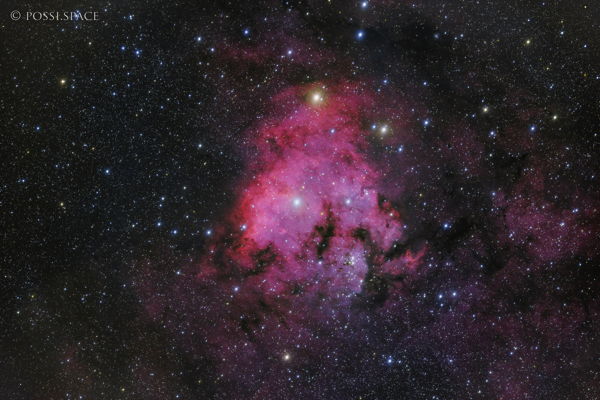 221101_ngc7822_teddy_bear_nebula_-_rasa36_hyb.jpg