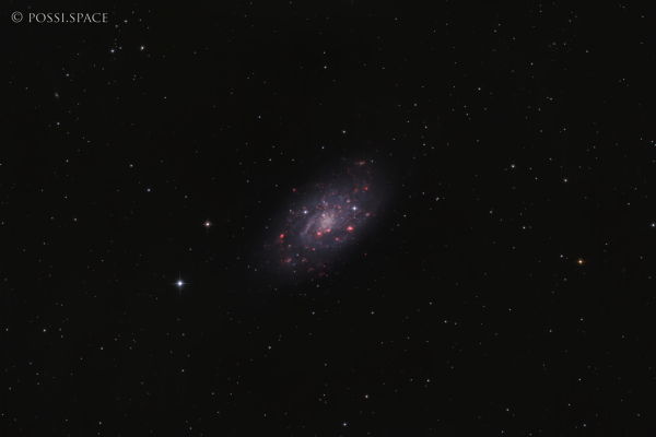 230108_ngc2403_small_bright_galaxy_in_camelopardis_-_cdk_reduced_hrgb.jpg