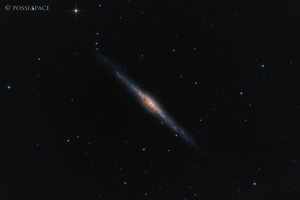 230228_ngc4244_silver_needle_galaxy_-_cdk_nativ_lrgb.jpg