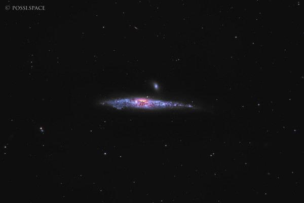 260310_ngc4631_whale_galaxy_-_cdk17_native_lrgb.jpg